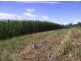 Sexton QLD 4570