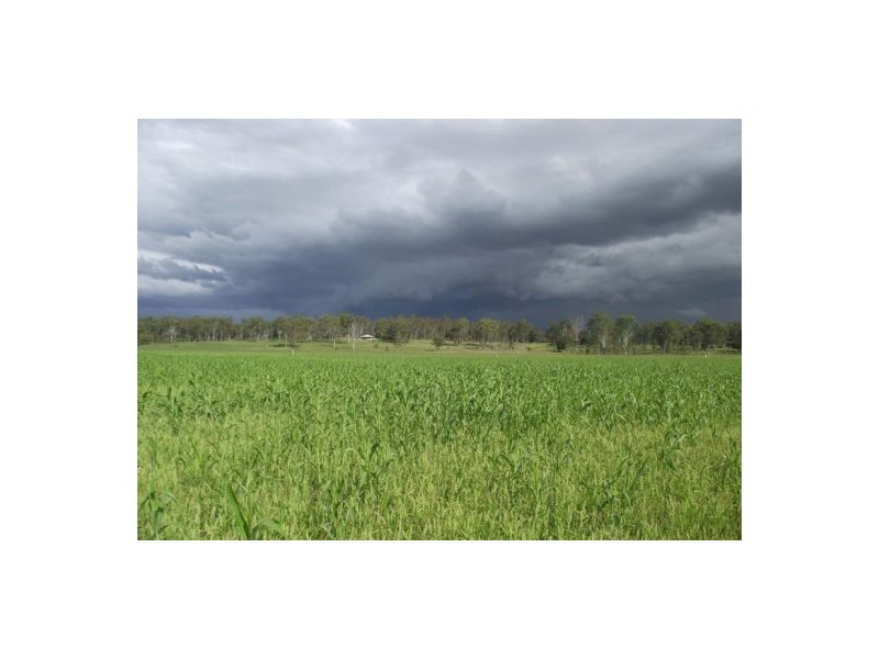 Sexton QLD 4570