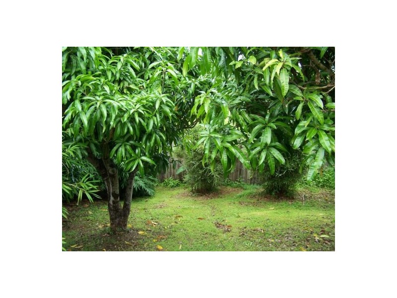 89 Rifle Range Road, Gympie QLD 4570