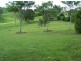 25 Plowman Road, Canina QLD 4570