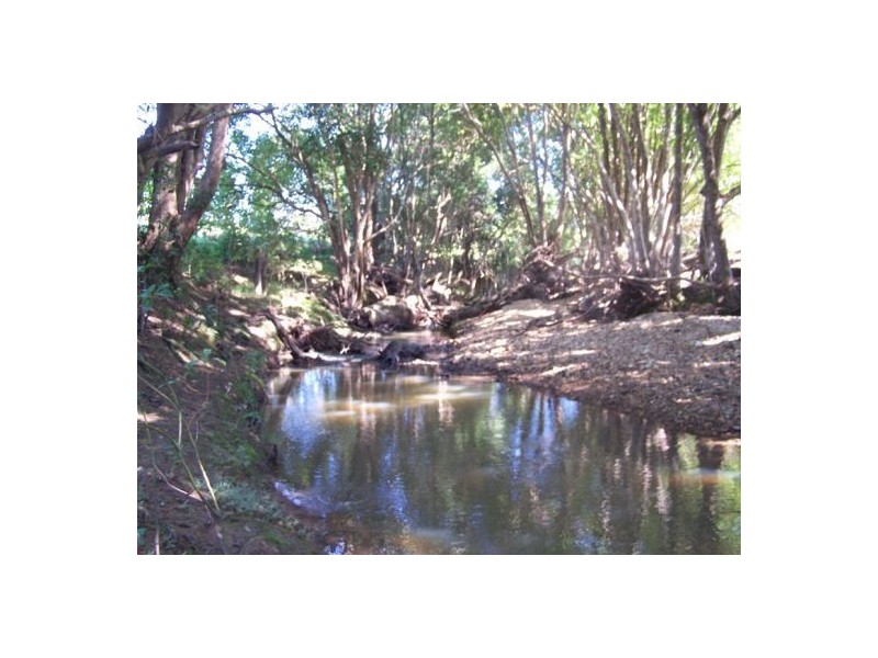 Federal QLD 4568