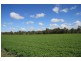 Kilkivan QLD 4600