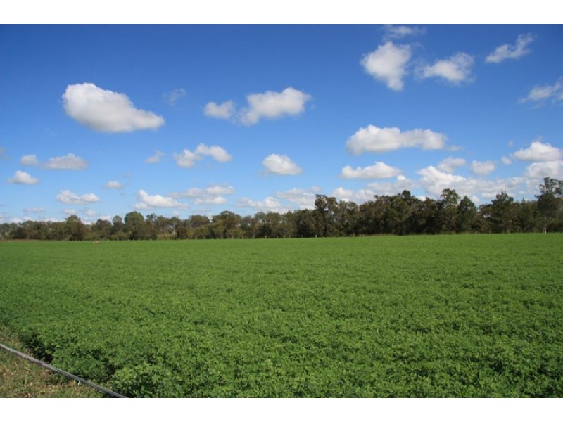 Kilkivan QLD 4600
