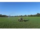 Kilkivan QLD 4600