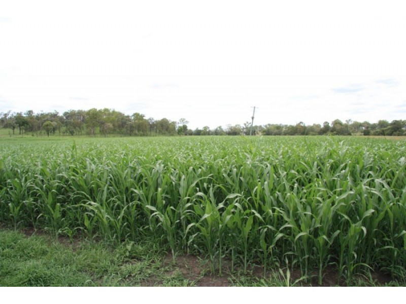 Kilkivan QLD 4600