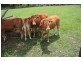 Kilkivan QLD 4600