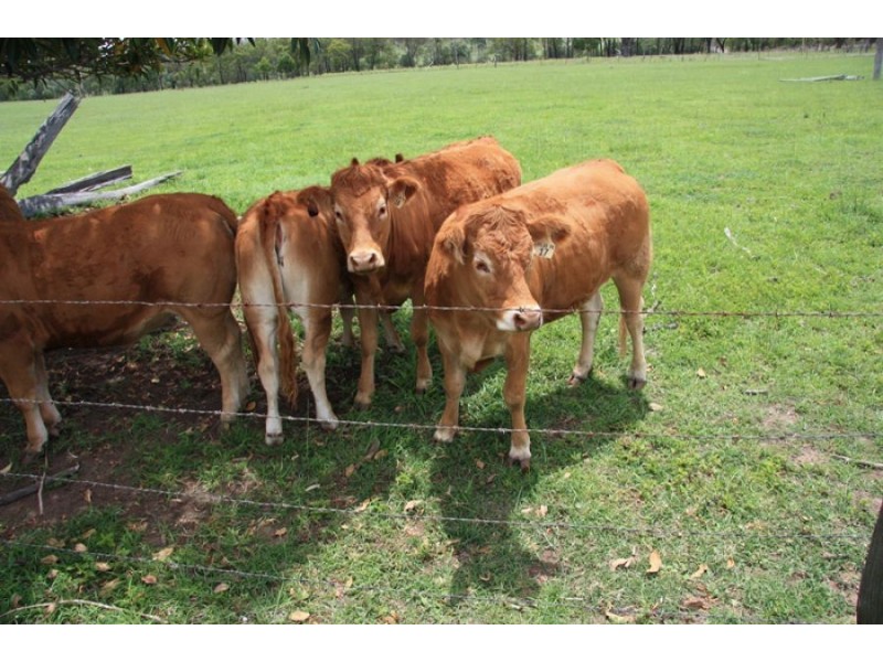 Kilkivan QLD 4600