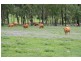 Kilkivan QLD 4600