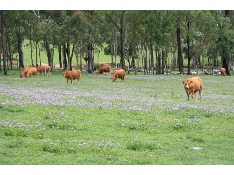 Kilkivan QLD 4600