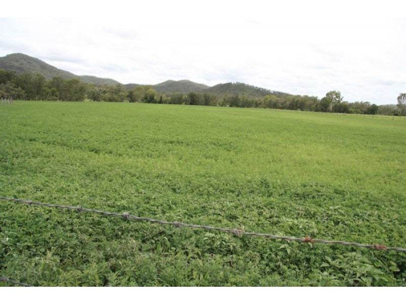 Kilkivan QLD 4600