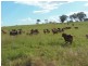 Theebine QLD 4570