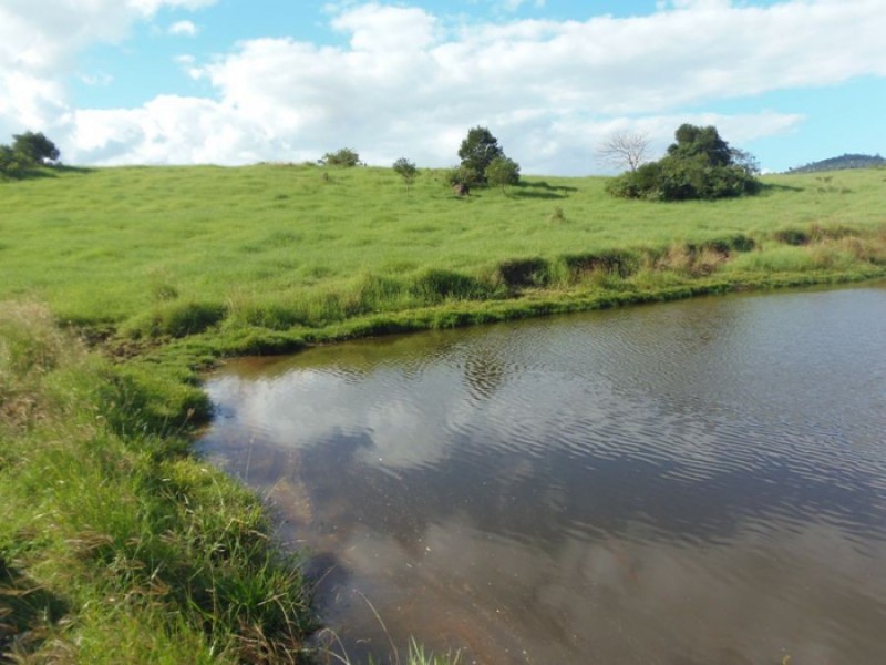 Theebine QLD 4570