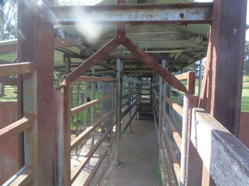Theebine QLD 4570
