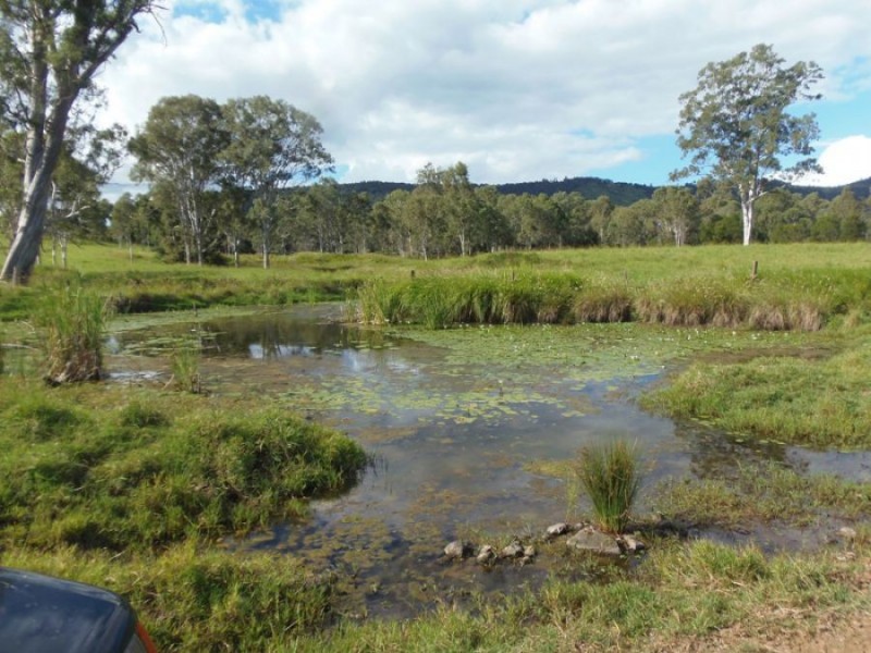 Theebine QLD 4570