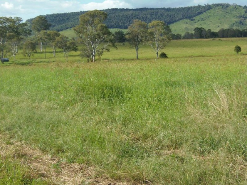 Theebine QLD 4570