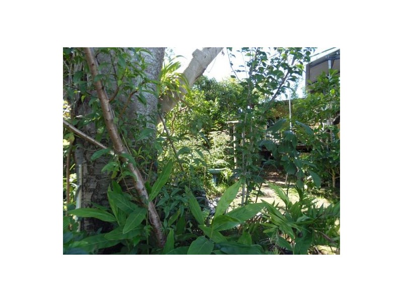 5 McAuliffe Road, Monkland QLD 4570