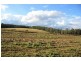 Traveston QLD 4570