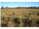 Traveston QLD 4570