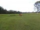 Widgee QLD 4570