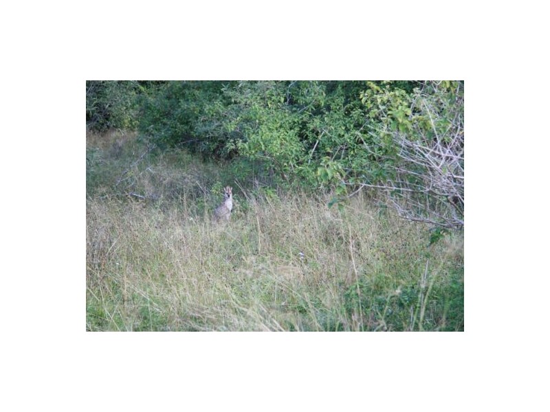 Glastonbury QLD 4570