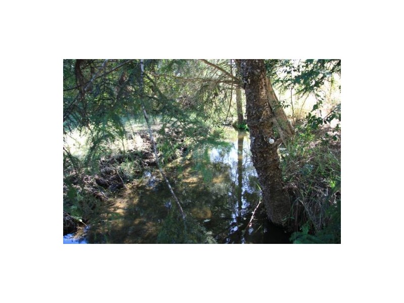 Calico Creek QLD 4570