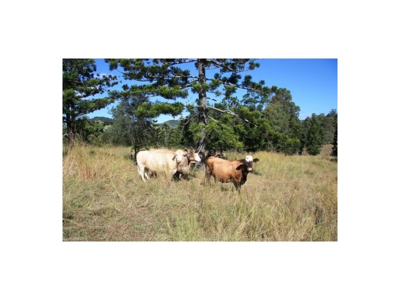 Calico Creek QLD 4570