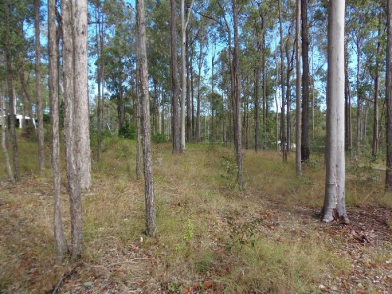 L377 Arborten Road, Glenwood QLD 4570