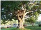 Tandur QLD 4570