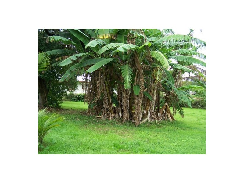 20 Mt Pleasant Road, Gympie QLD 4570