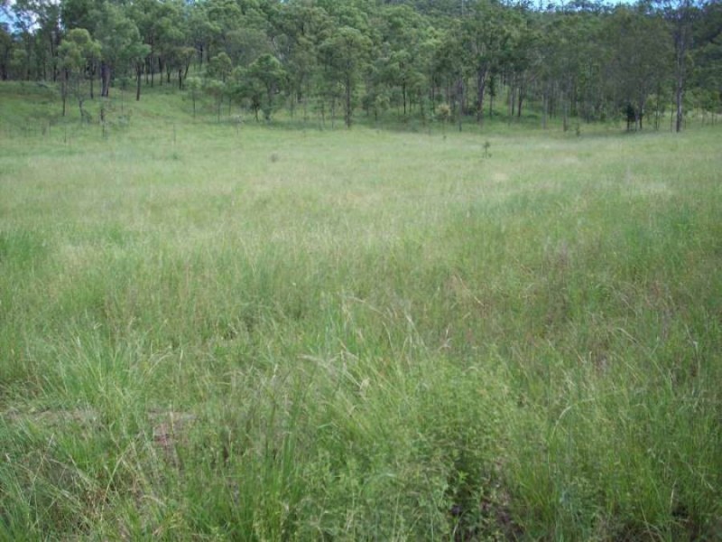 Kilkivan QLD 4600