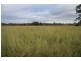 Theebine QLD 4570