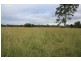 Theebine QLD 4570