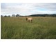 Theebine QLD 4570