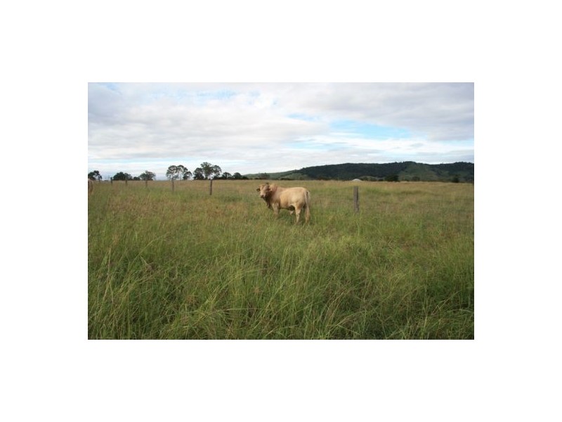 Theebine QLD 4570