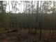 Lot 17 Antimony Road, Neerdie QLD 4570