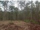 Lot 17 Antimony Road, Neerdie QLD 4570