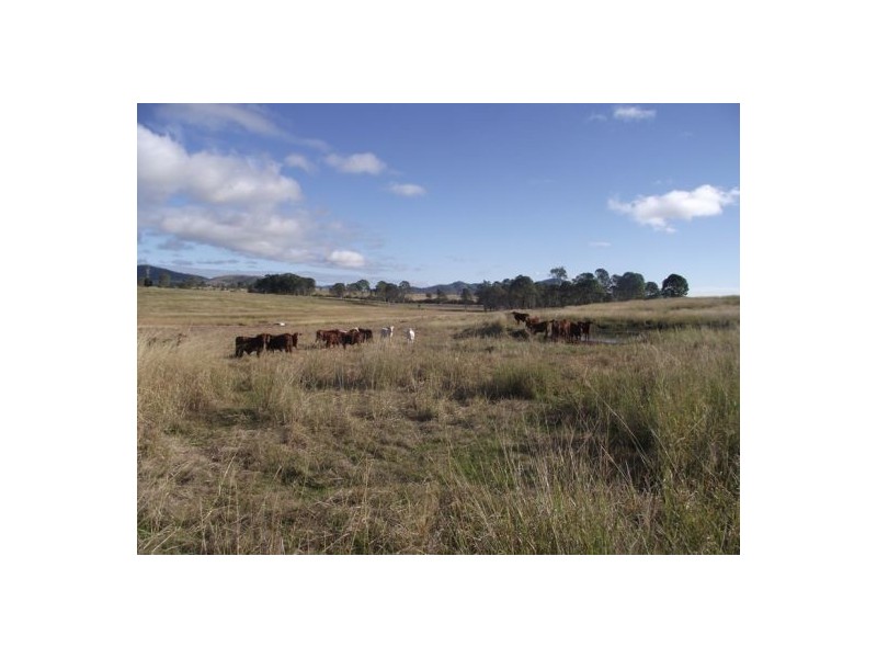 Lower Wonga QLD 4570