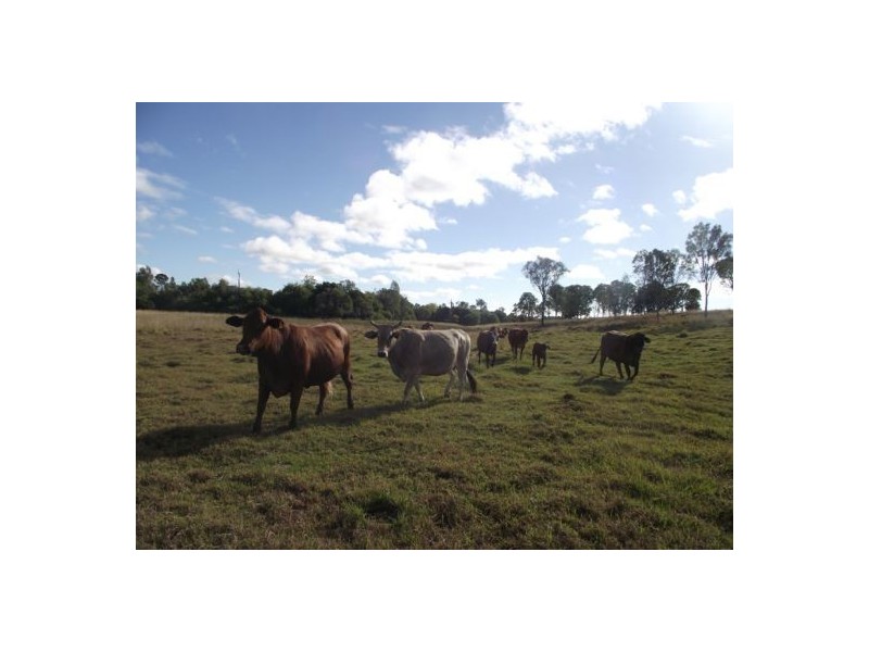 Lower Wonga QLD 4570