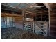 Curra QLD 4570