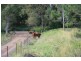 Wolvi QLD 4570