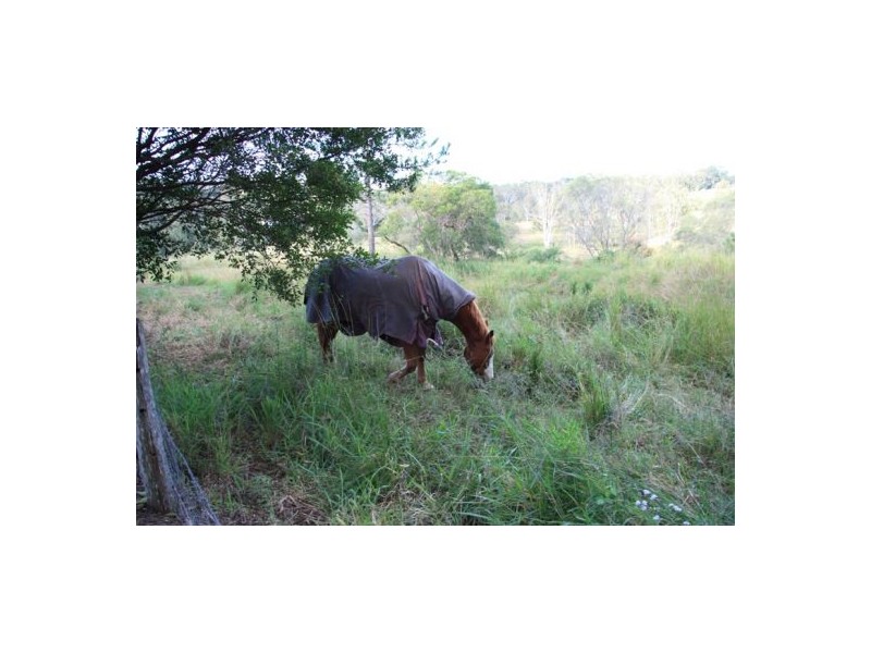 Wolvi QLD 4570