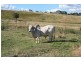 Bauple QLD 4650