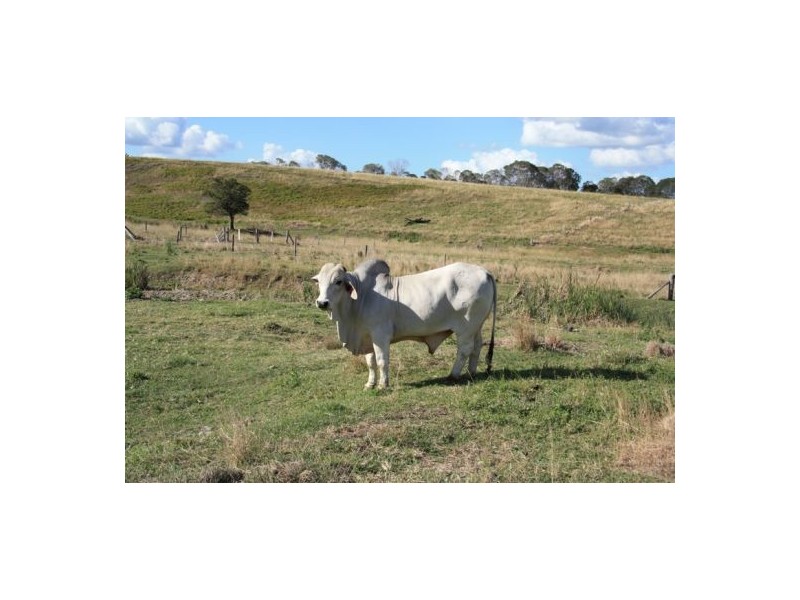 Bauple QLD 4650