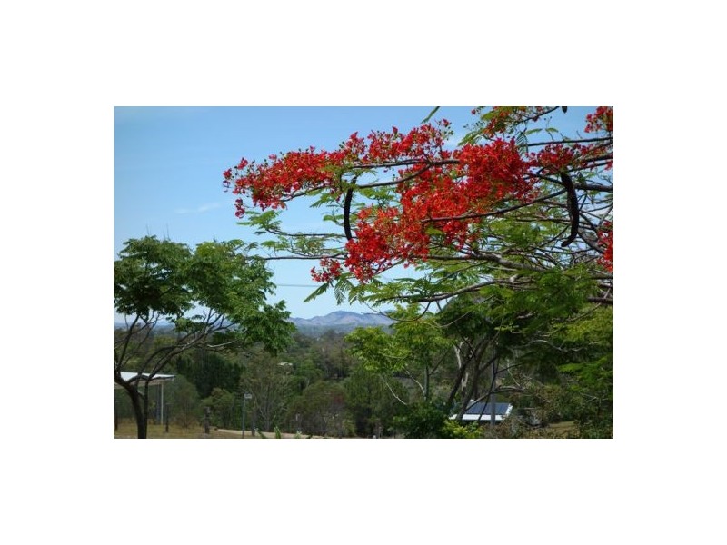 141 Benson Road, Chatsworth QLD 4570