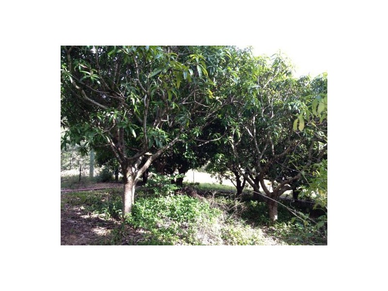 44 Bundy Road, Imbil QLD 4570