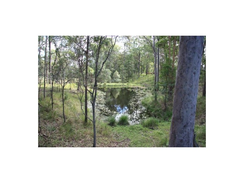Wilsons Pocket QLD 4570