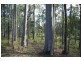 Wilsons Pocket QLD 4570