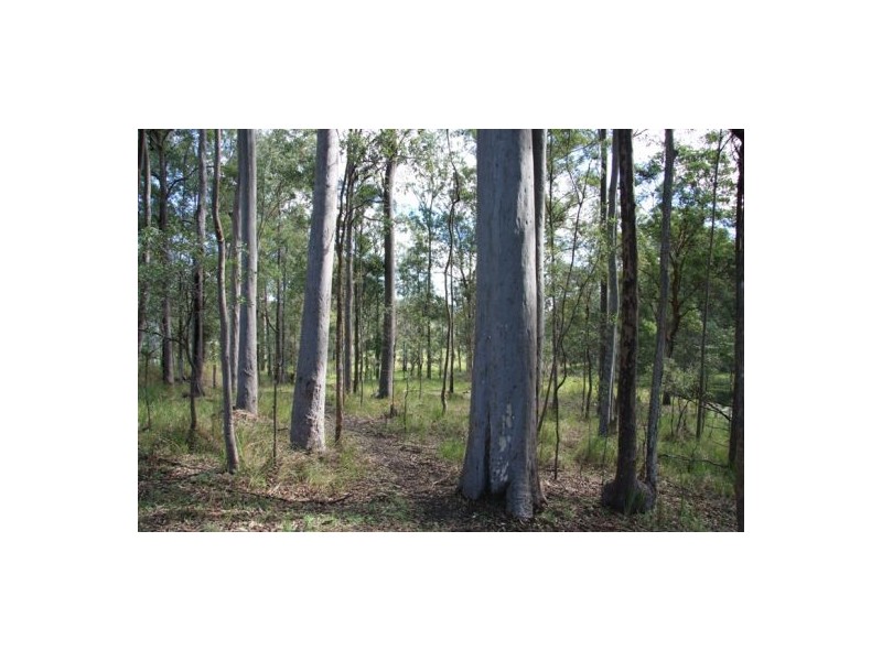 Wilsons Pocket QLD 4570