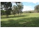 Wilsons Pocket QLD 4570