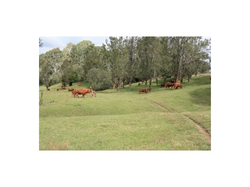 Bells Bridge QLD 4570